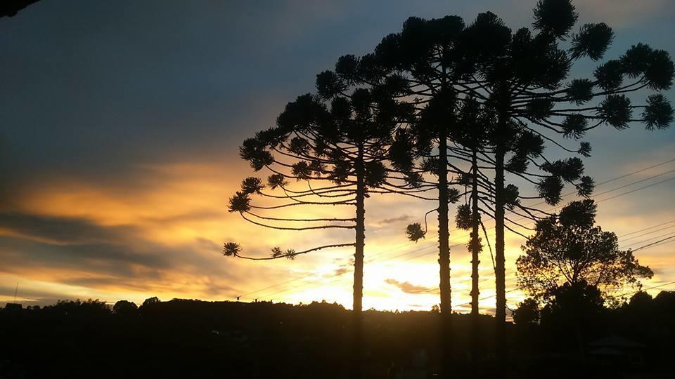 Caminho Das Colinas Gramado Eksteriør bilde