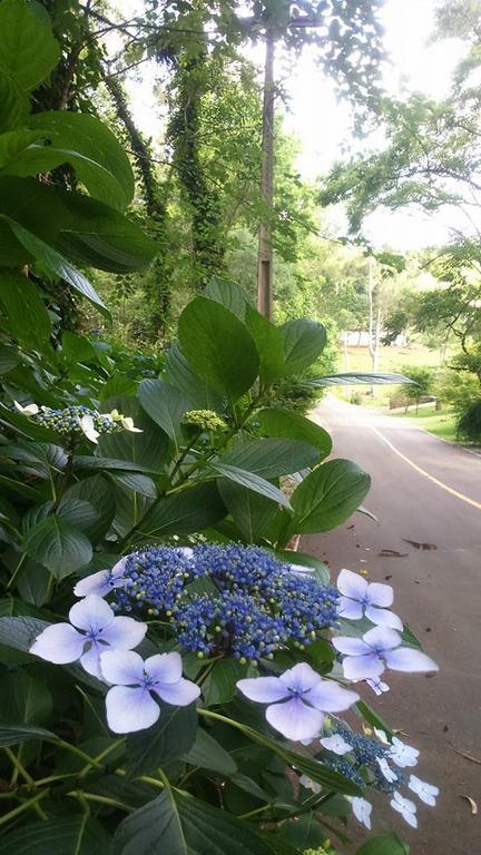 Caminho Das Colinas Gramado Eksteriør bilde